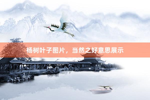 杨树叶子图片，当然之好意思展示