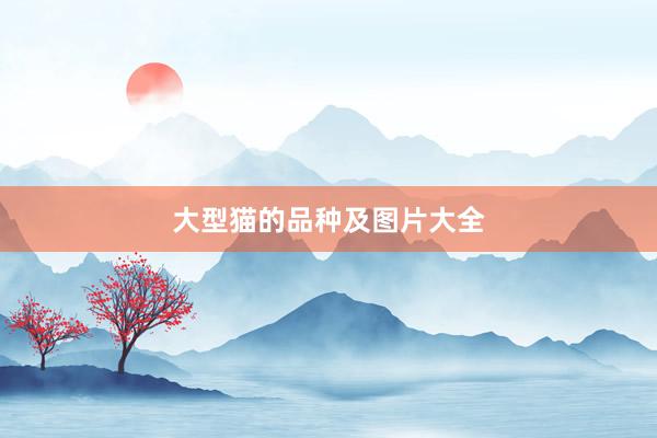大型猫的品种及图片大全